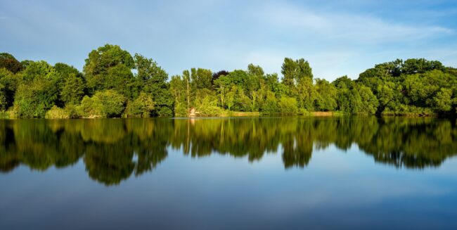 Beautiful scenery of a lake with the reflection od surrounding green trees
