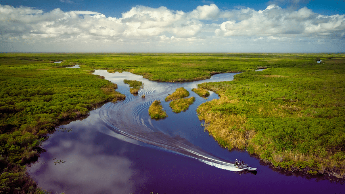 destinos nacionais pantanal