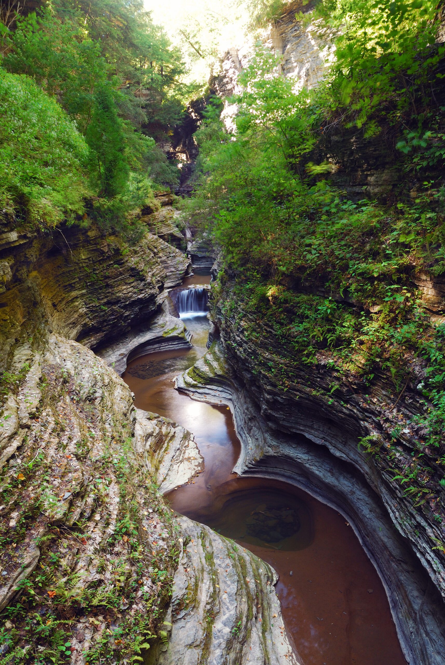 canions xingo piranhas SE